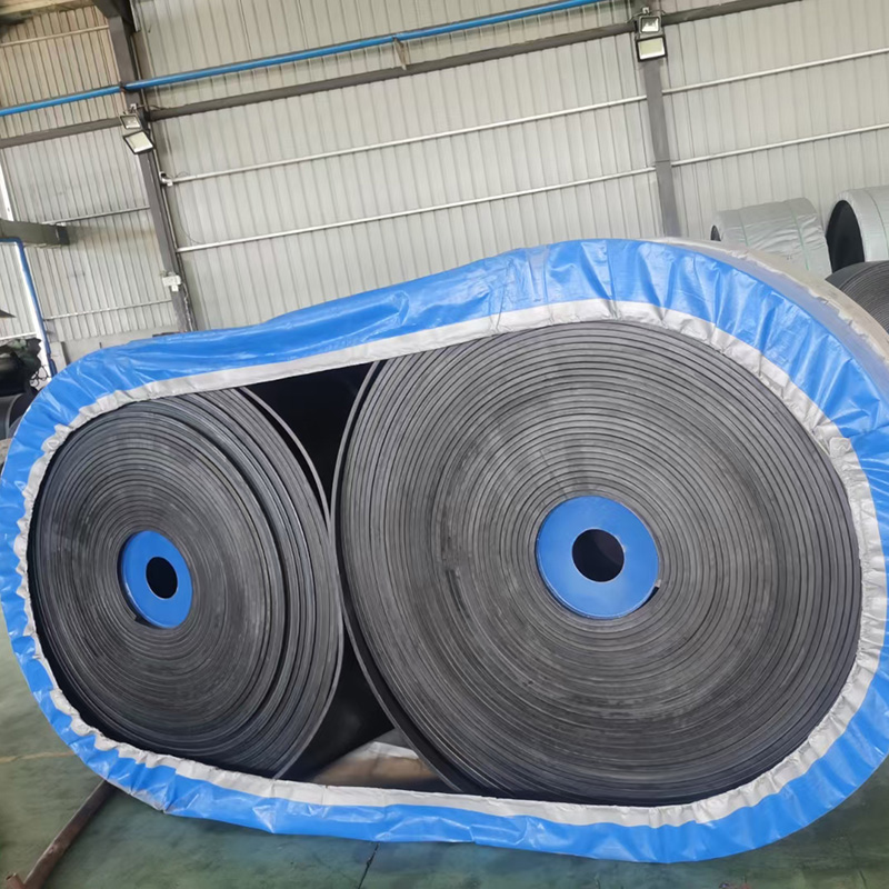 Ordinary Conveyor Belt