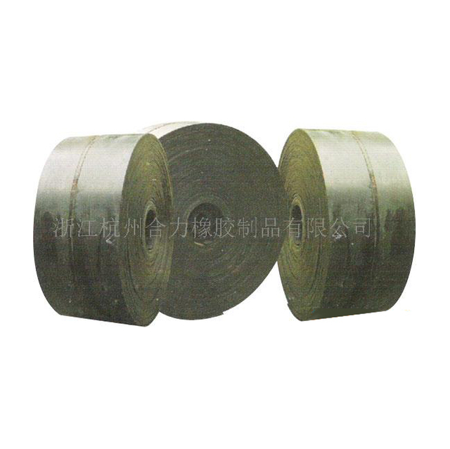 Ordinary Conveyor Belt